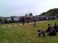 Bild665