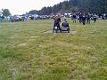 Bild666
