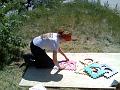 Bild684
